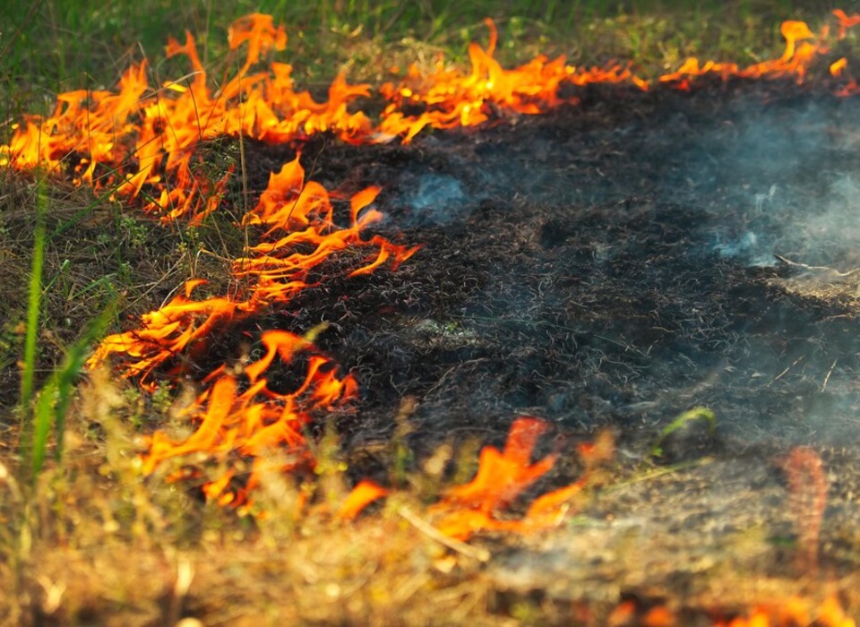 Чрезвычайная степень пожароопасности объявлена в Волгоградской области до 21 августа